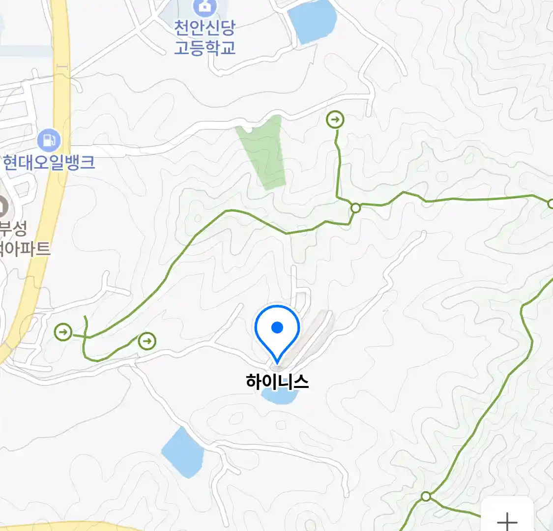 하이니스 위치