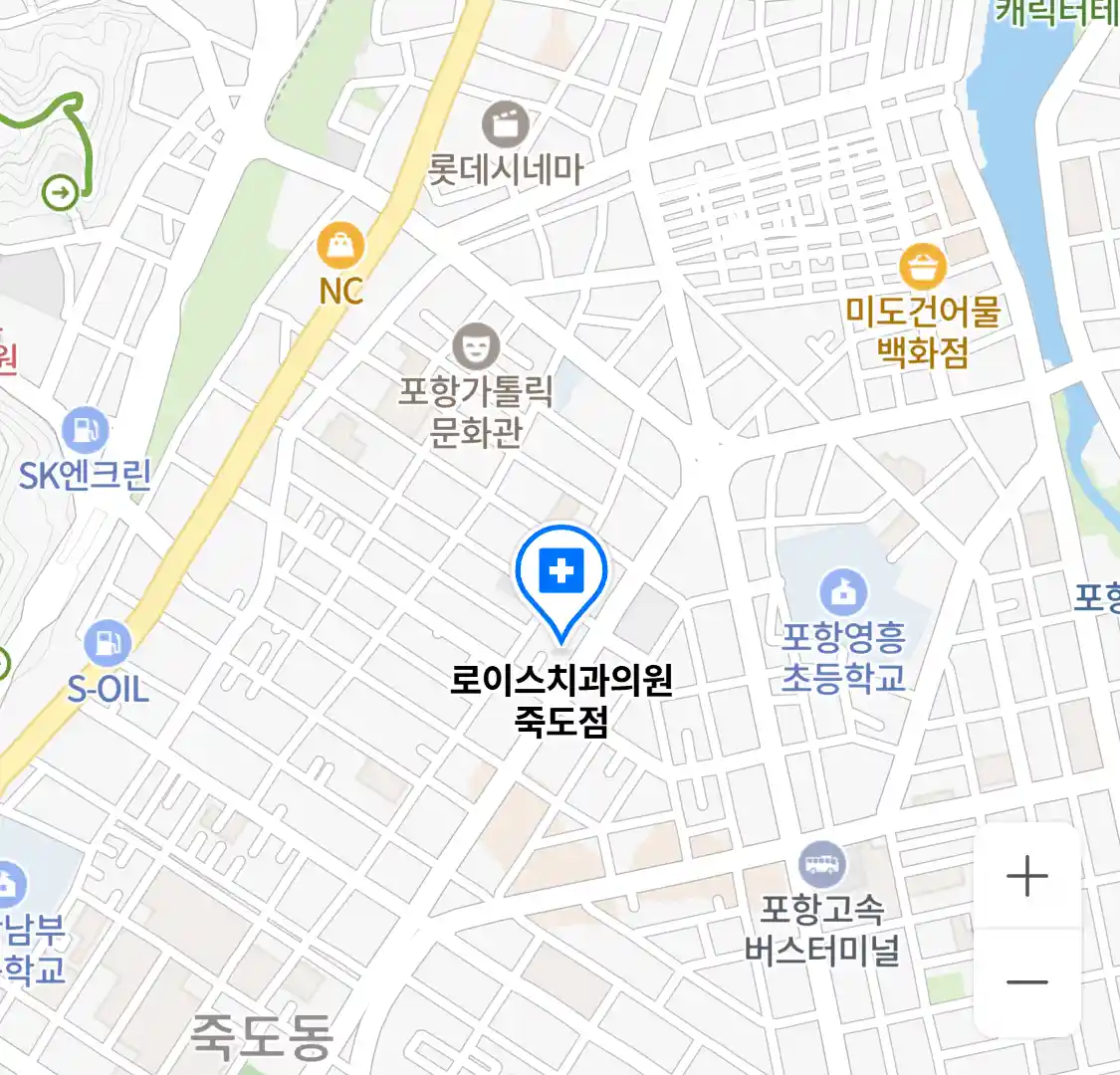 로이스치과의원 죽도점 위치