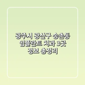 광주시 광산구 송촌동 임플란트 치과 3곳 정보 총정리