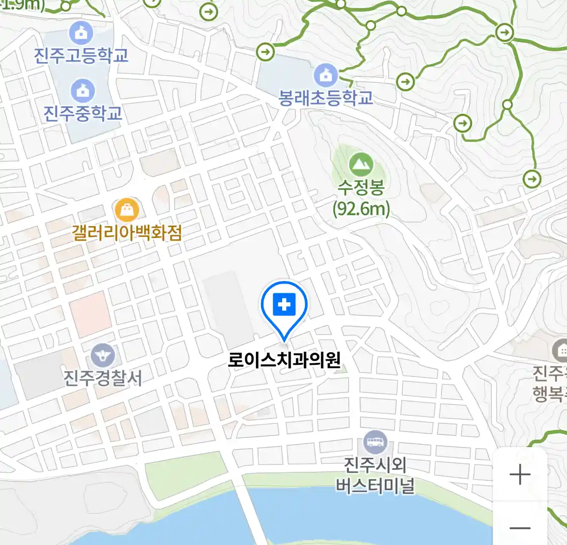 로이스치과의원 지도