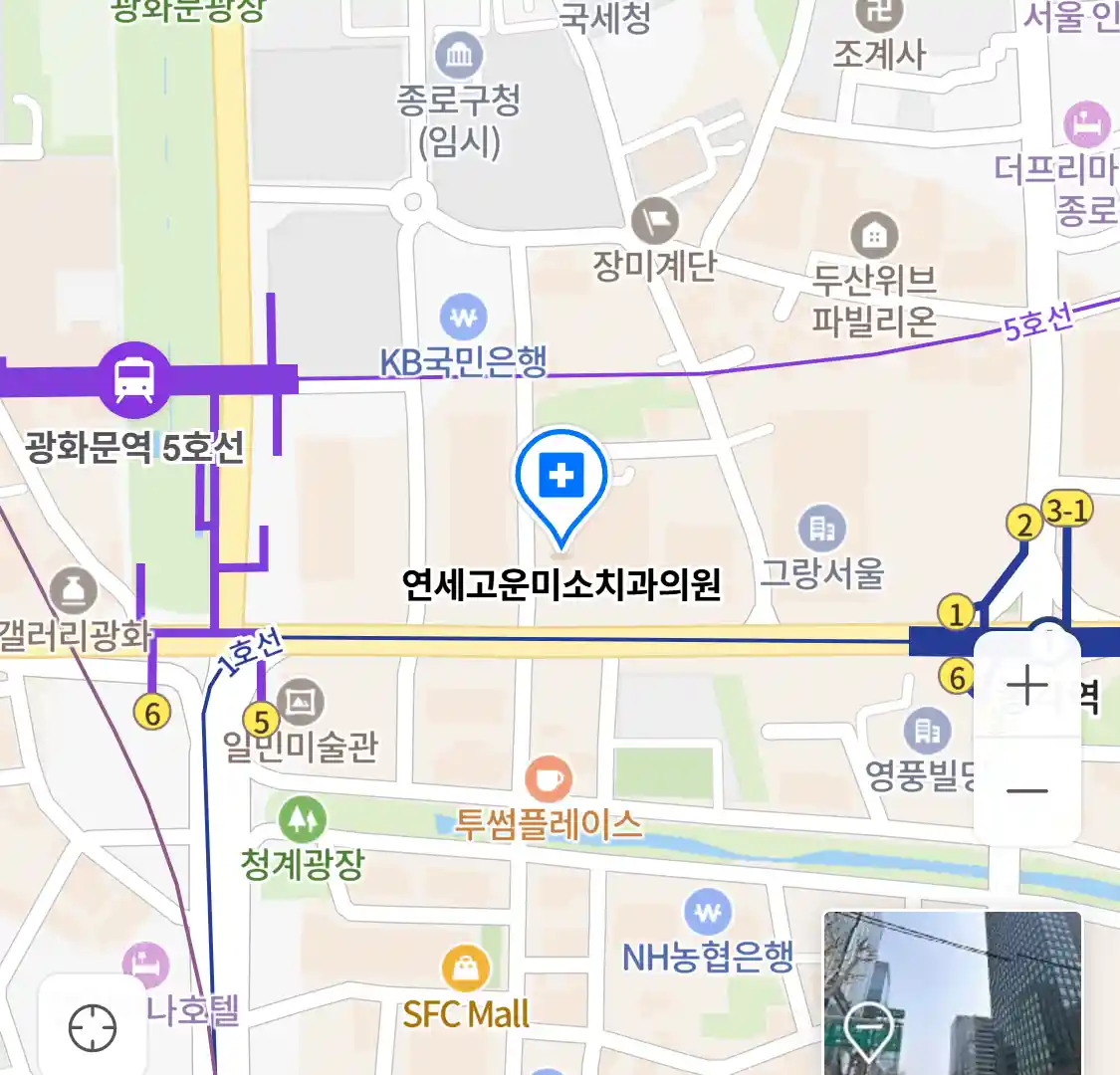 연세고운미소치과의원 위치