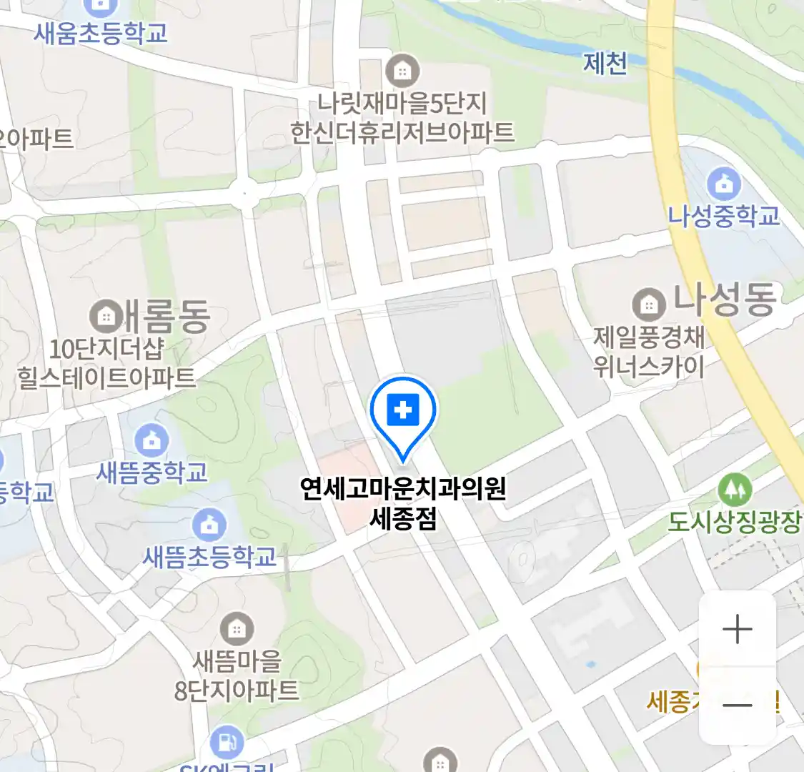 연세고마운치과의원 세종점 위치