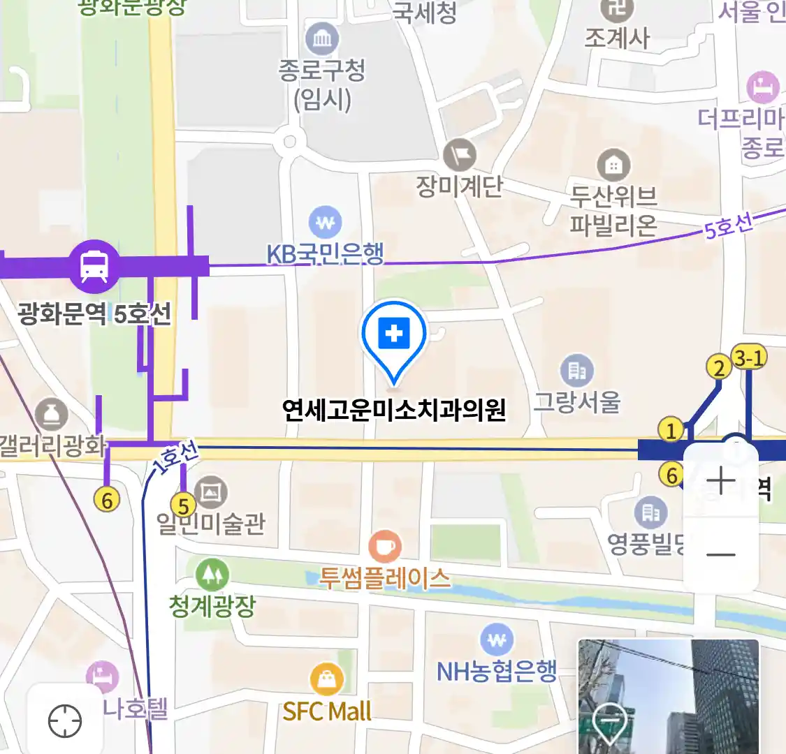 연세고운미소치과의원 위치