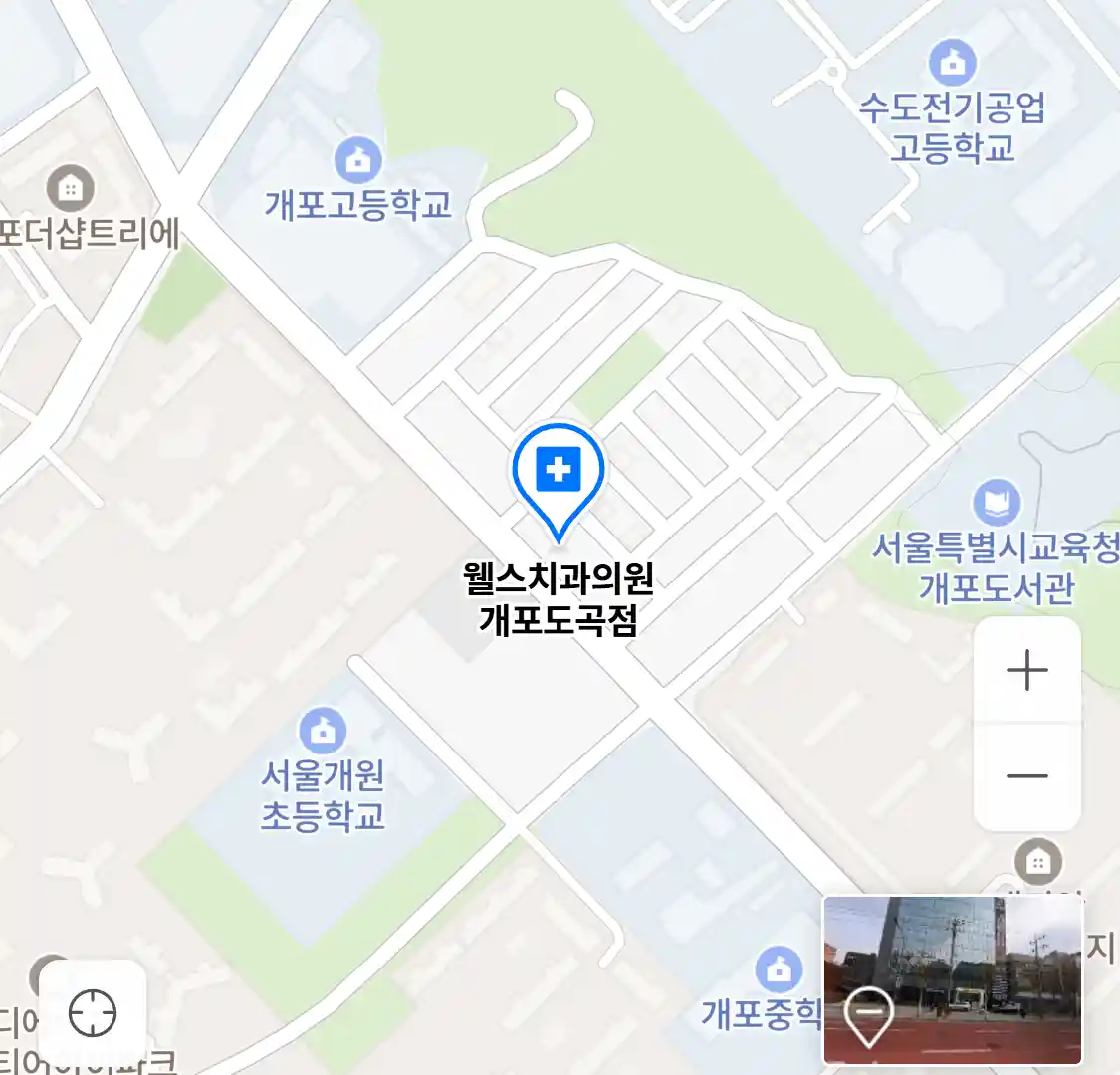 웰스치과의원 개포도곡점 위치