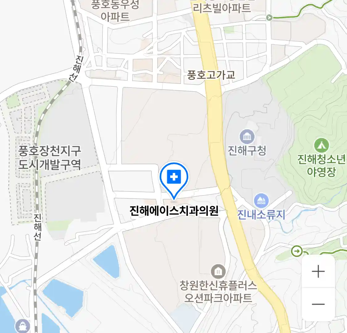 진해에이스치과의원 지도