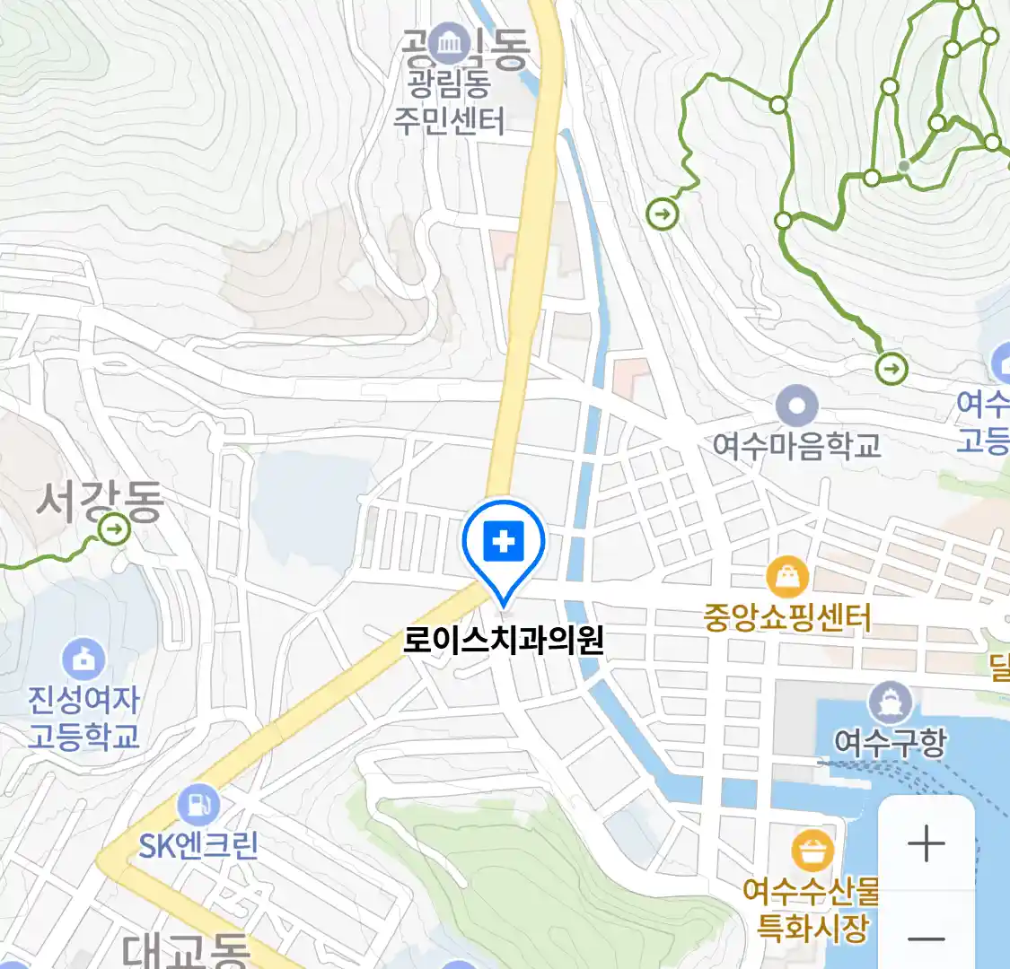 로이스치과의원 위치