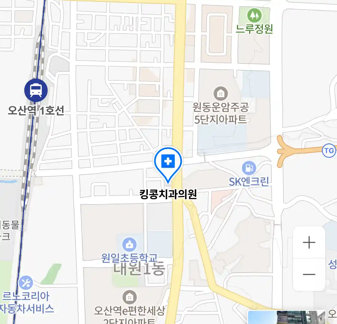 킹콩치과의원 위치