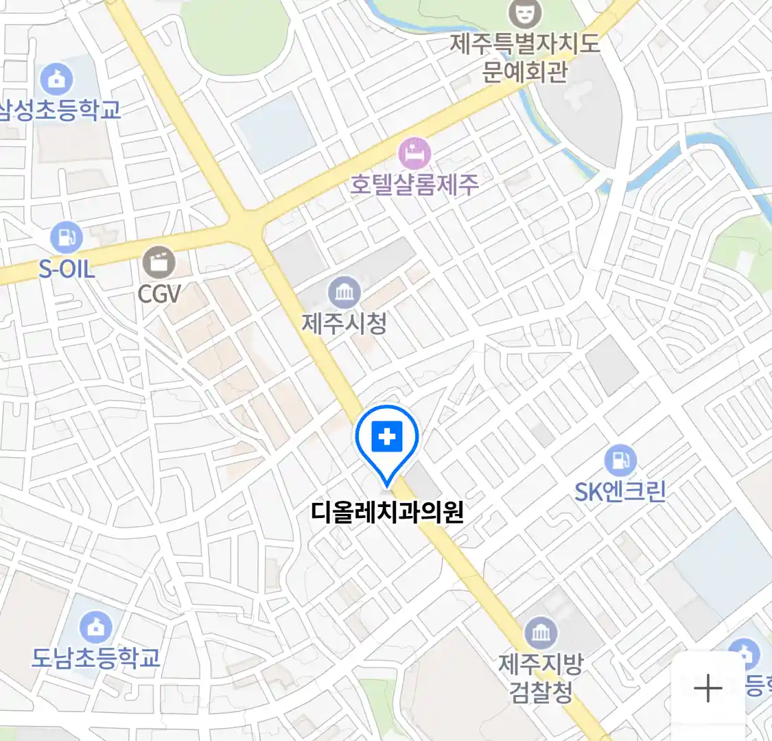디올레치과의원 위치