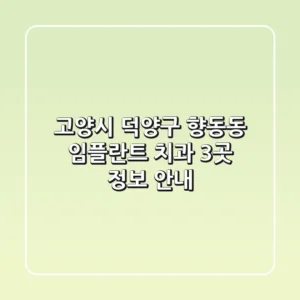 고양시 덕양구 향동동 임플란트 치과 3곳 정보 안내