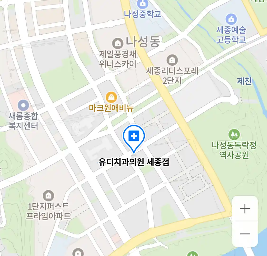 유디치과의원 세종점 위치