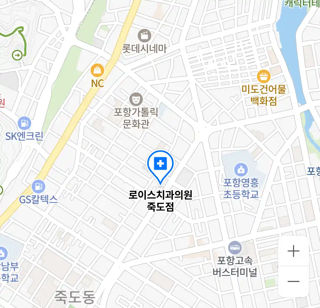로이스치과의원 죽도점 위치