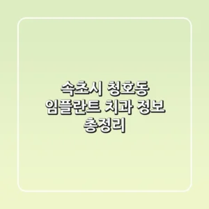 속초시 청호동 임플란트 치과 정보 총정리