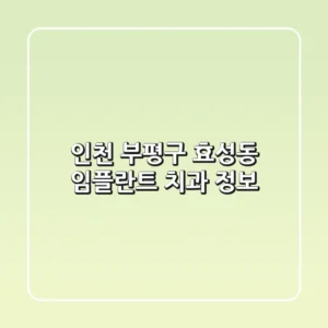 인천 부평구 효성동 임플란트 치과 정보