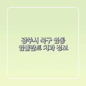 광주시 북구 임동 임플란트 치과 정보