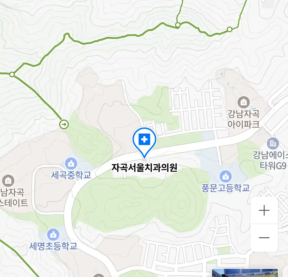 자곡서울치과의원 위치