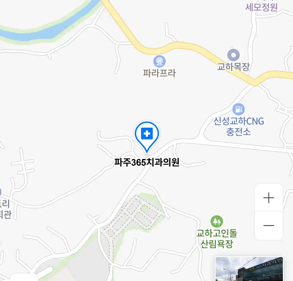 파주365치과의원 위치