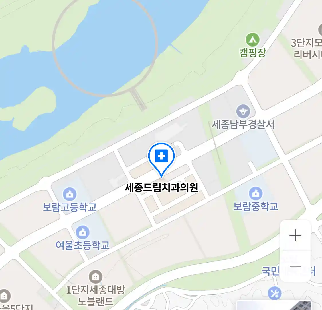 세종드림치과의원 위치