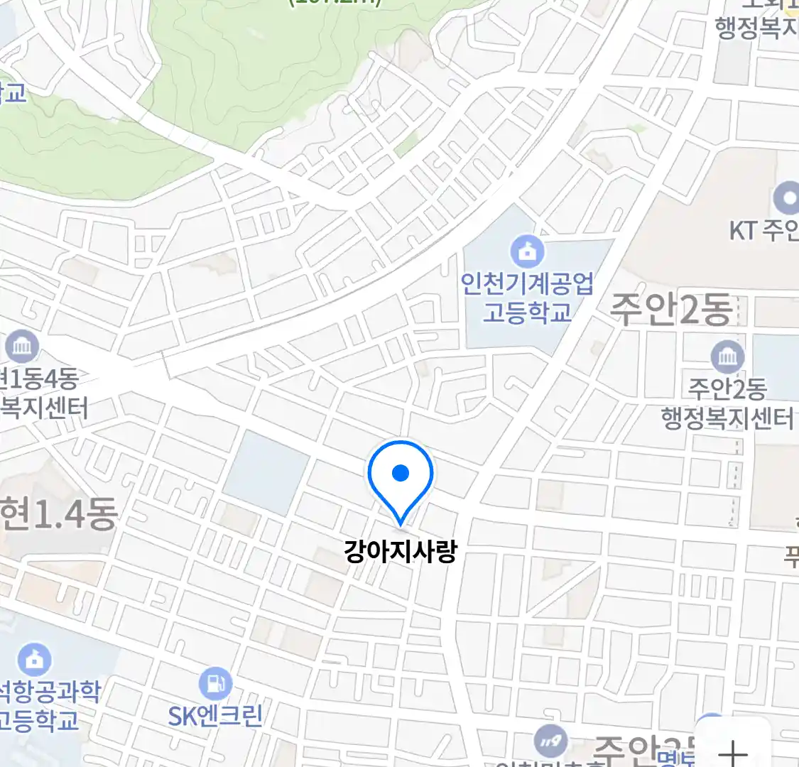 강아지사랑 위치